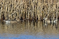 10 11 13_9905_edited-1